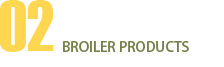 02肉仔鸡