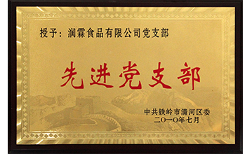 先进党支部