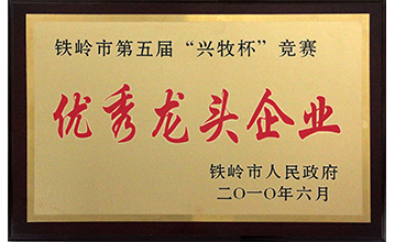 优秀龙头企业