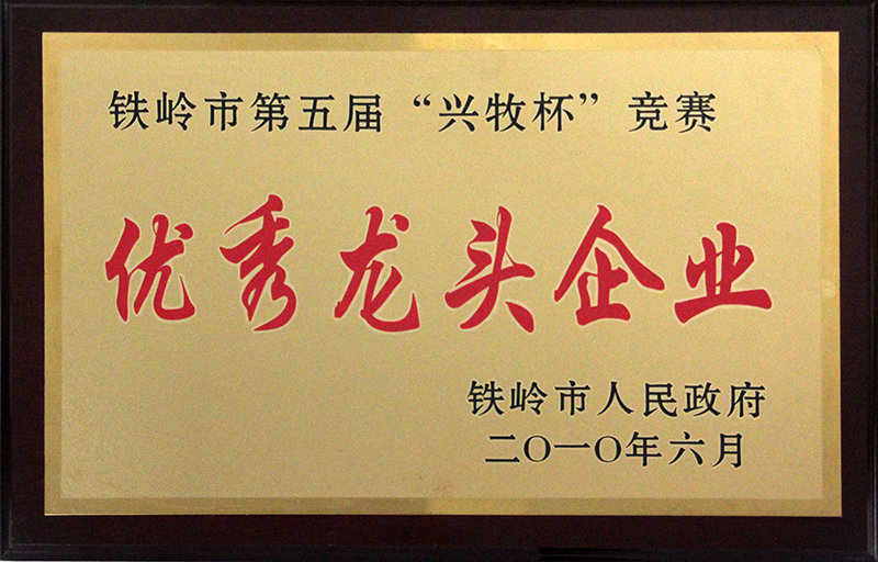 优秀龙头企业