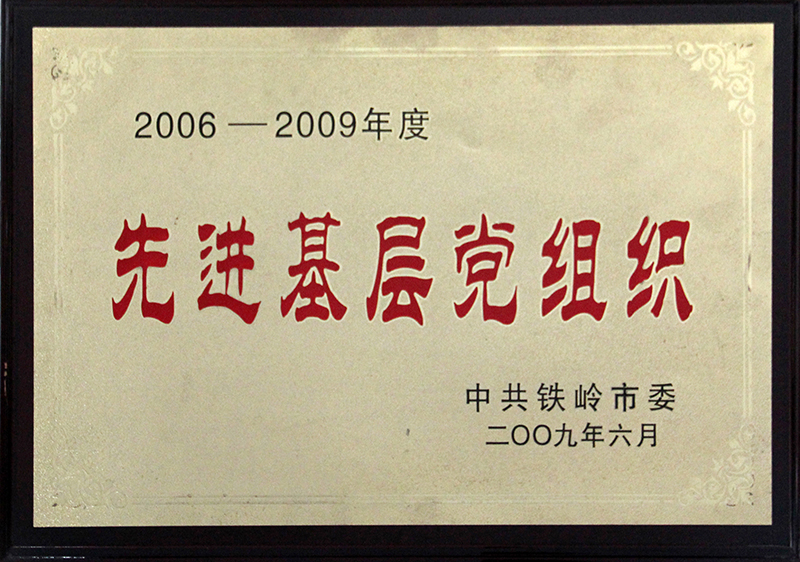 先进基层党组织
