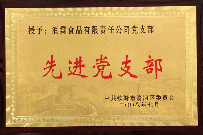 先进党支部